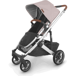 2020 Stroller - Dandy Strollers