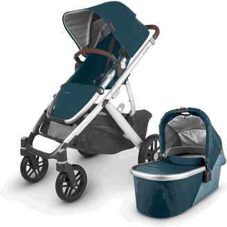 Vista v2 2020 Stroller - Dandy Strollers